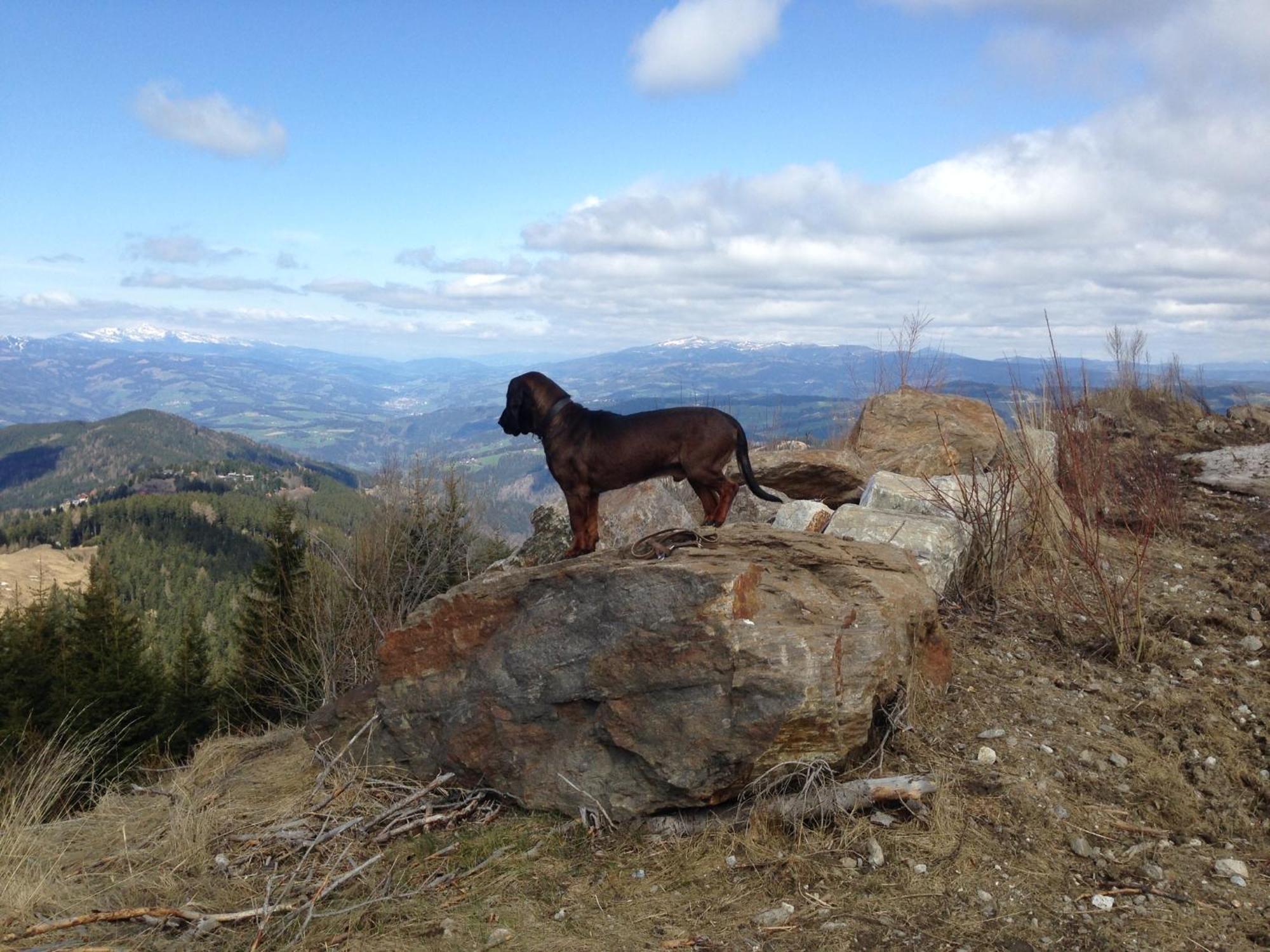 Feriendorf Koralpe Alpenrose Frantschach Bagian luar foto