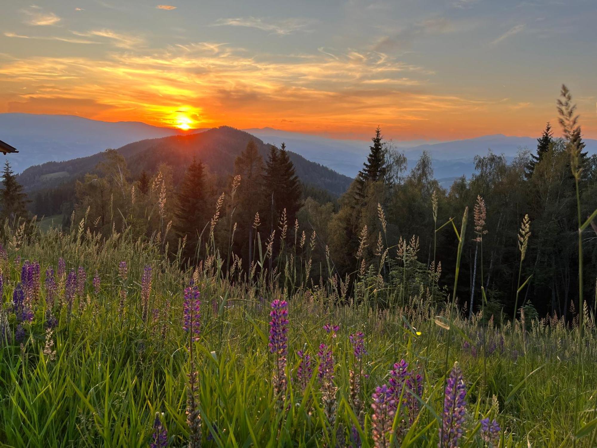 Feriendorf Koralpe Alpenrose Frantschach Bagian luar foto